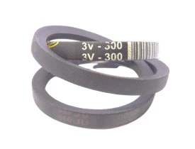 1596-CORREIA-3VX300-MSI2.6ML