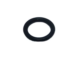 20925-Anel Oring Karcher Hd1025 Max Hd615C (10 X 2)-1