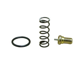 21311-KIT REPARO-VALVULA-TERMOSTATICA-INGERSOLL-RAND-SERIE-R30N-R37N-2017-83C-1