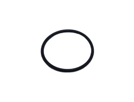 21400-Anel Oring Karcher Hd615C (24 X 1.5)-1