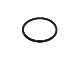 21913-Anel Oring Karcher Hd715 Maxi (1.78 X 28.30)-1