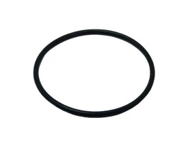 22018-ANEL-ORING-TAMPAO-SEPARADOR-OLEO-INGERSOLL-RAND-UP620-625-30-SERVE-SSR150-200-1