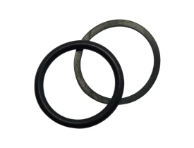 25018-ANEL-ORING-VALVULA-BY-PASS-KARCHER-HD555-HD585-KIT-2-PECAS-1