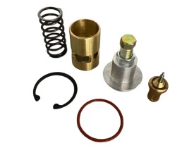 25488-REPARO-VALVULA-TERMOSTATICA-SCHULZ-SRP5030E-SRP5040E-SRP5050E-SRP5060E-SRP5075E-SRP5100E-1