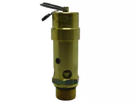 27095-valvula-seguranca-ingersoll-rand-r55i-r75n-r75i-232-psi-16-bar-893-pcm-rosca-m22-1