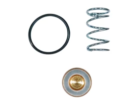 29-REPARO-VALVULA-CANHAO-WAYNE-PEQ-2