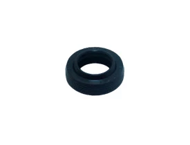 5381-RETENTOR-CHIAPERINI-SJ1600-KARCHER-HD585-HD600-WAP-MINI-WAP-AQUA-800-PISTAO-1