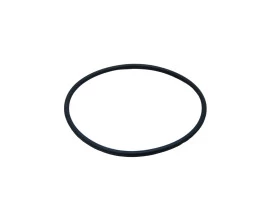 5947-ORING-CHIAPERINI-SJ1600