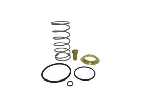 8753-KIT-REPARO-VALVULA-TERMOSTATICA-SCHULZ-SRP3200E-SRP4200E-FLEX-SRP4250E-FLEX-1