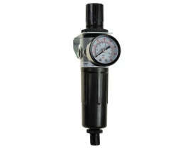filtro-regulador-de-pressao-werk-schott-serie-mini-rosca-1/4-1