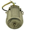 10639-MOTOR-CHIAPERINI-SJ1700-110V-1
