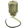 10639-MOTOR-CHIAPERINI-SJ1700-110V-2
