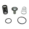 10881-KIT-VALVULA-PRESSAO-MINIMA-CHICAGO-CPB15-CPB20-CPB25-CPB30-CPB40-SERIE-A-PARTIR