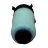 10908-ELEMENTO-COALESCENTE-INGERSOLL-RAND-F35IGH-POS-21-PCM-3