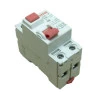 11871-DISJUNTOR-STECK-BIPOLAR-63-AMPERES-SR-COM-ATERRAMENTO-1