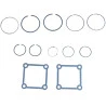 1329-KIT-ANEIS-E-JUNTAS-CILINDRO-INGERSOLL-RAND-2475-2530-PES-2-12-4 (1)