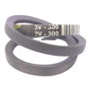 1596-CORREIA-3VX300-MSI2.6ML