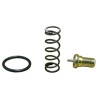 21311-KIT REPARO-VALVULA-TERMOSTATICA-INGERSOLL-RAND-SERIE-R30N-R37N-2017-83C-1