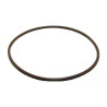 21721-ANEL-ORING-SCHULZ-SRP4200E-FLEX-E75-KTR-AR75-DESCARGA-UNIDADE-1