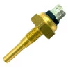 22121-SENSOR-TEMPERATURA-SCHULZ-SRP4010E-LEAN-SRP4015E-LEAN-ROSCA-M10-1