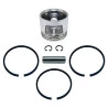 23896-kit-pistao-com-aneis-pressure-storm-450-900-fiac-ab360-bulldog-bg15-1