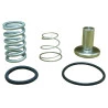 2512-KIT-REPARO-VALVULA-PRESSAO-MINIMA-INGERSOLL-RAND-UP6-20-UP