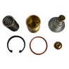 25488-REPARO-VALVULA-TERMOSTATICA-SCHULZ-SRP5030E-SRP5040E-SRP5050E-SRP5060E-SRP5075E-SRP5100E-2