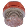 2991-tampao-valvula-chiaperini-cobel-gilbarco-b1-b2-b3-1