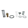 5941-KIT_REPARO-VALVULA-PRESSAO-MINIMA-TERMOSTATICA-CHICAGO-CPA5-1