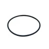 5947-ORING-CHIAPERINI-SJ1600