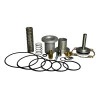 5975-KIT-REPARO-VALVULA-ADMISSAO-CHICAGO-CPB25-CPB30-CPB40-SERIE-ANTERIOR-1