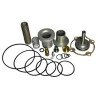 5975-KIT-REPARO-VALVULA-ADMISSAO-CHICAGO-CPB25-CPB30-CPB40-SERIE-ANTERIOR-2