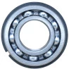 6021-ROLAMENTO-INGERSOLL-RAND-2545-TRASEIRO-C-CANAL-TRAVA-6207-ZNR-1