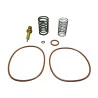 6798-KIT-REPARO-VALVULA-TERMOSTATICA-INGERSOLL-RAND-SERIE-R90N-R110N-R160N-82.2-A-92.2-C-ATE-10-BAR-140