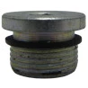 7053-TAMPAO-34-ACO-C-ALLEN-INTERNO-12-MM-2