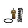 8714-KIT REPARO-VALVULA-TERMOSTATICA-GX2-5-7-11-G5-7-10-11-15-