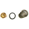 9800-REPARO-VALVULA-TERMOSTATICA-SCHULZ-SRP3005-SRP3008-SRP4005-S-2