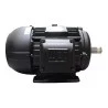 9868-motor-eletrico-4cv-4-polos-1715-rpm-trifasico-blindado-ip55-1