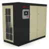 compressor-parafuso-ingersoll-rand-r75-com-secador-TAS-1