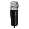 filtro-ar-werk-schott-serie-mini-rosca-1/4-1