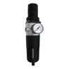 filtro-regulador-de-pressao-werk-schott-serie-medio-rosca-3/4-polegadas-1