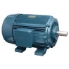 6870-motor-eletrico-nova-motores-2cv-2-polos-3520-rpm-trifasico-blindado-IP55-1